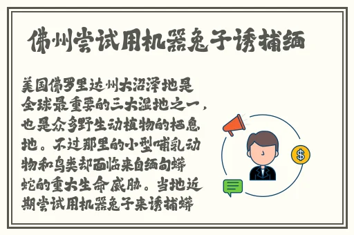 精品蜜桃va在线播放